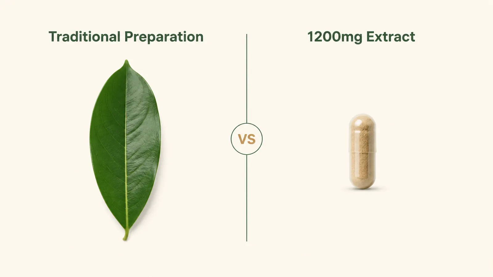 Simple diagram comparing fresh soursop leaf concentration to a 1200mg capsule serving