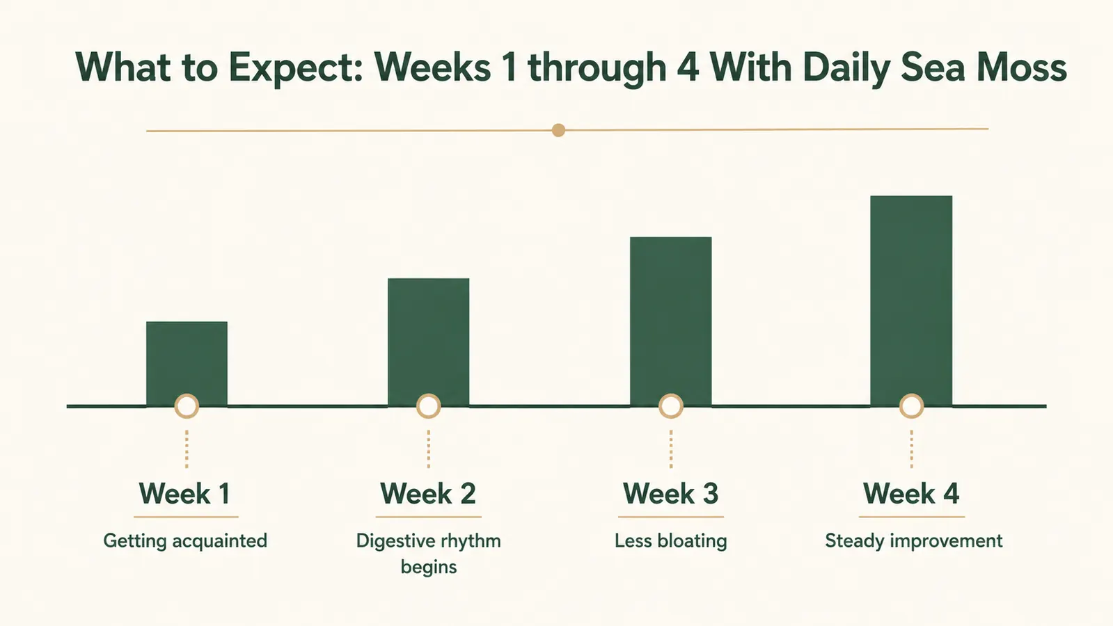 Simple timeline chart showing expected digestive comfort improvements over four weeks of daily sea moss capsule use