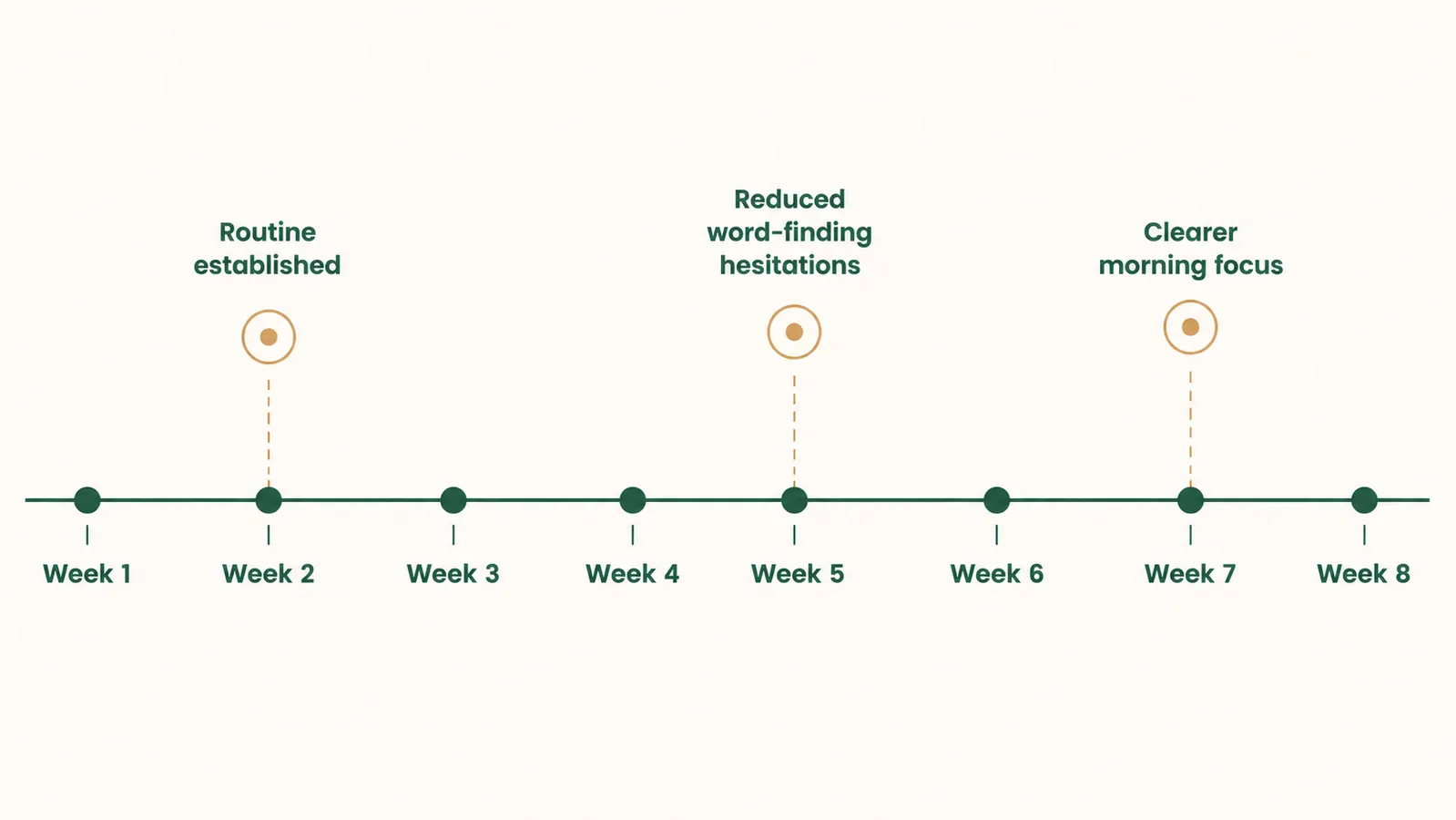 Simple illustrated chart showing a consistent daily supplement routine over four weeks with cognitive benefit milestones marked along a timeline