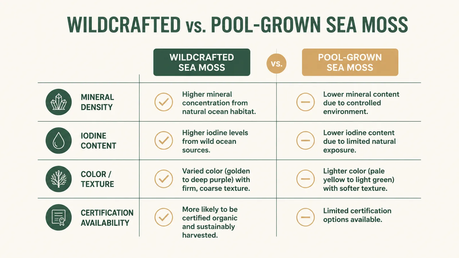 Side-by-side comparison chart of wildcrafted sea moss versus pool-grown sea moss key differences