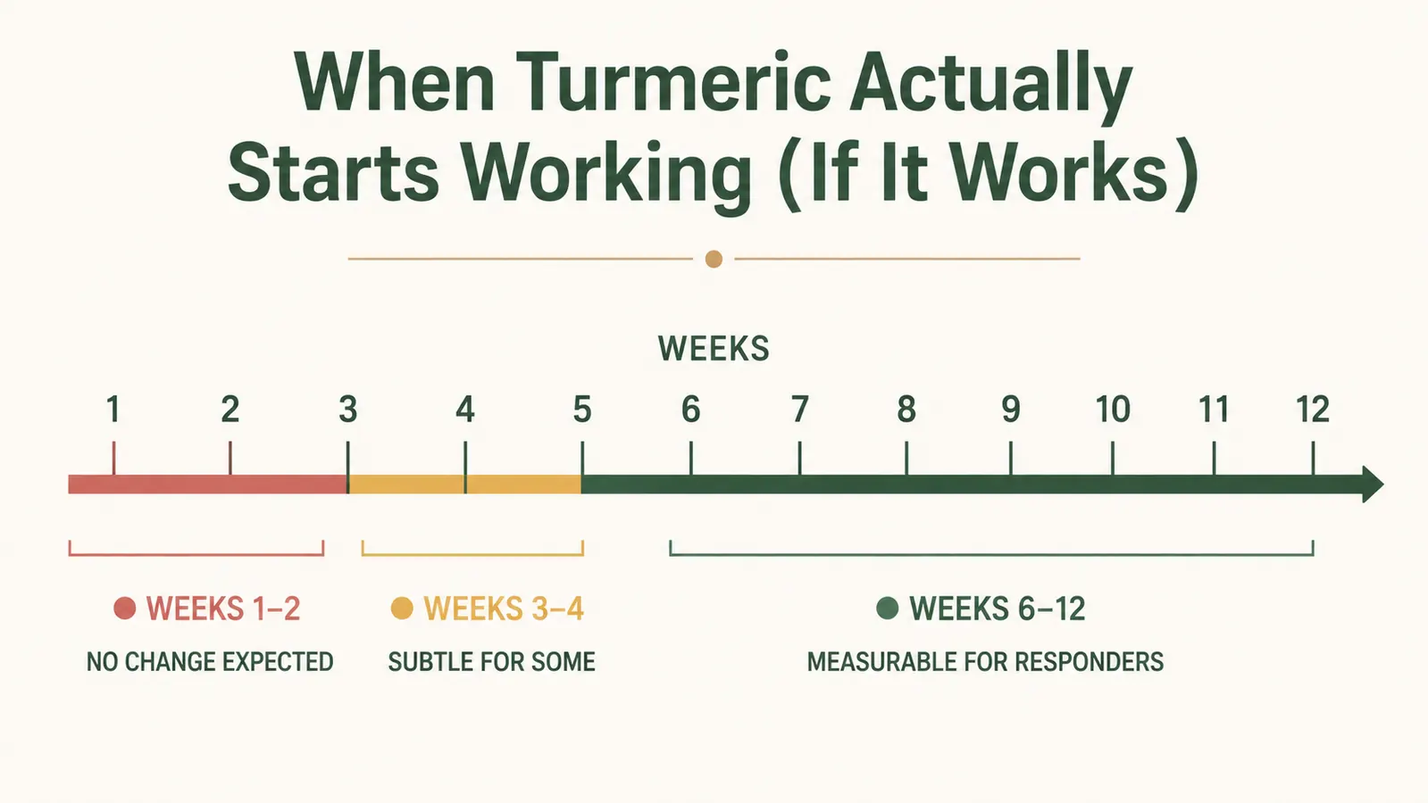 Simple chart showing expected timeline for turmeric curcumin effects: weeks 1-2 no change, weeks 3-4 subtle shift, weeks 6-8 noticeable benefit for some users
