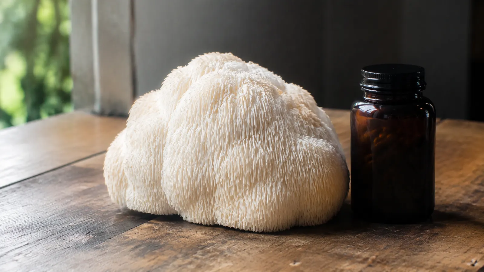 Real Mushrooms Lion's Mane: The Review I Wish I Had Before I Bought It