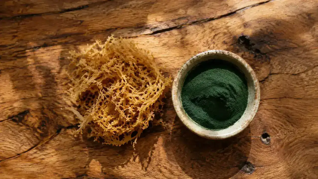 Sea Moss vs Spirulina: Which Ocean Superfood Belongs in Your Routine?